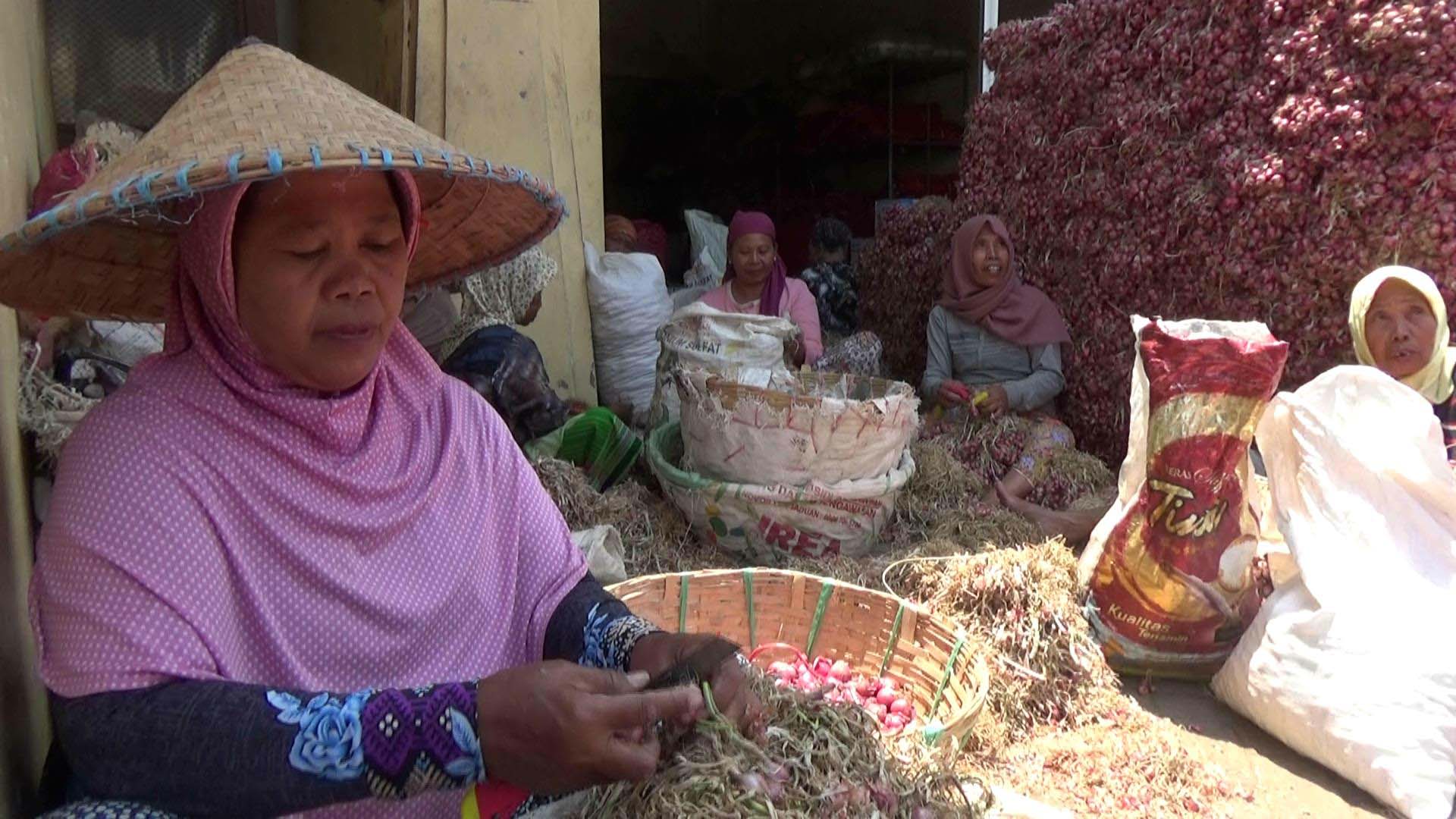 Harga Bawang Merah Turun, Disperindag Salahkan Petani