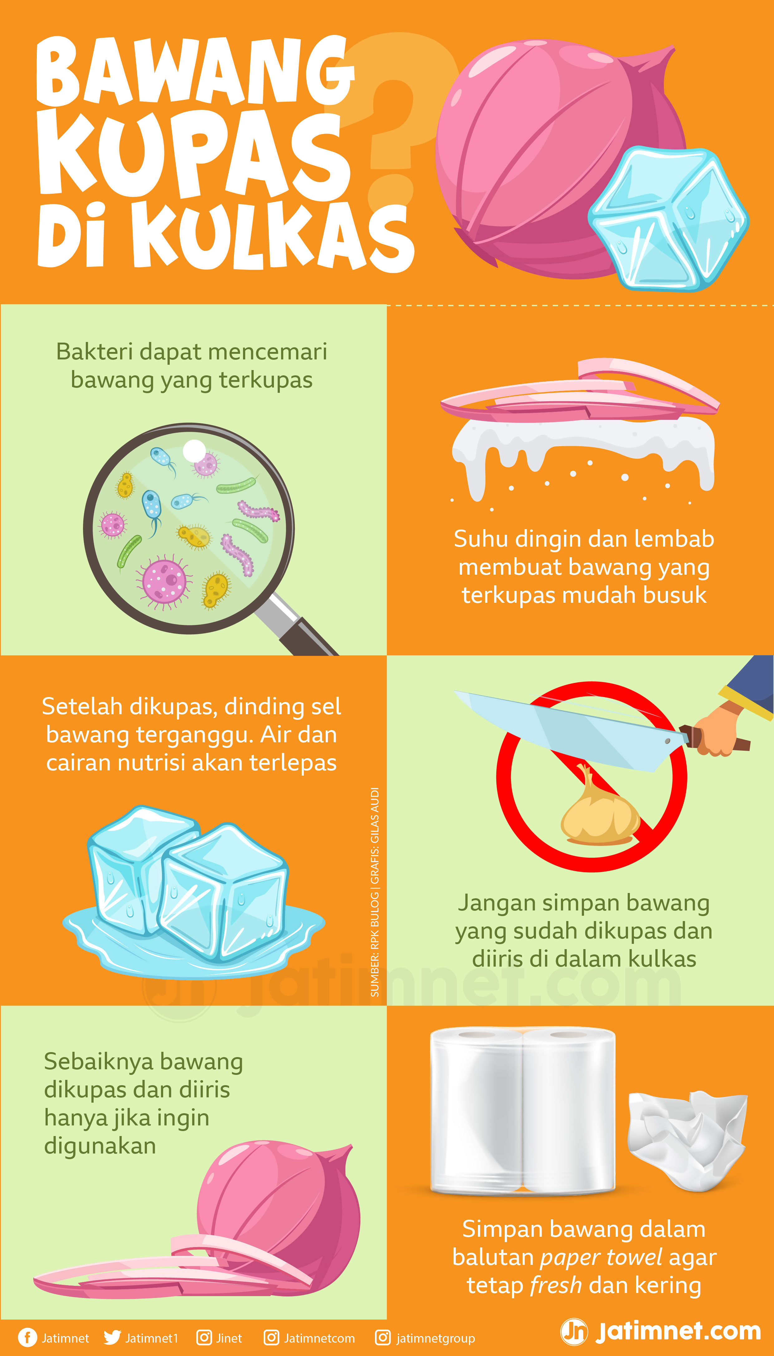 Rusak Kualitas Bawang Kupas di Kulkas rusak-kualitas-bawang-kupas-di-kulkas