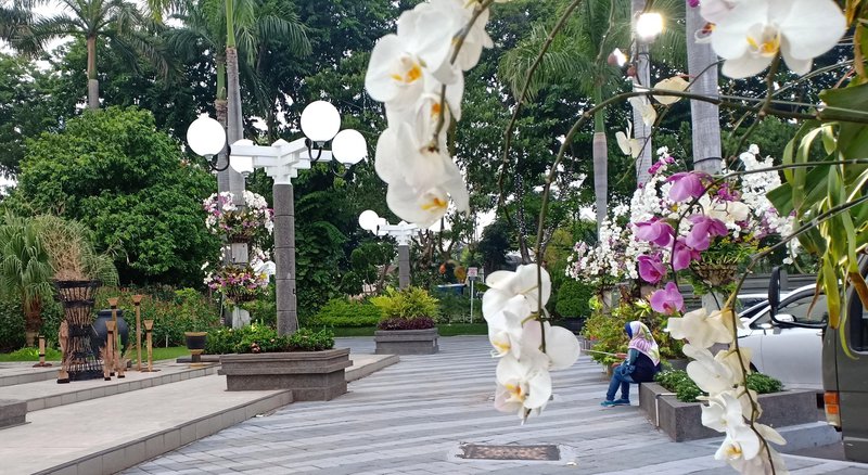 Bunga Bermekaran Bikin Romantis Kota Surabaya