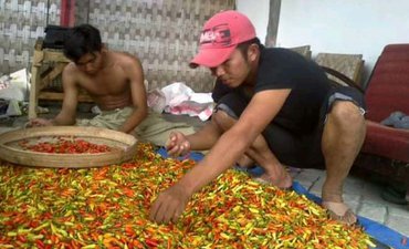 Kenaikan Harga Kebutuhan Selama Ramadan Dorong Inflasi Bulan Mei kenaikan-harga-kebutuhan-selama-ramadan-dorong-inflasi-bulan-mei