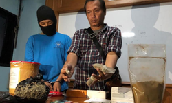 Bawa Ganja 1 Kilogram, Mahasiswa UPN Diringkus BNN Surabaya bawa-ganja-1-kilogram-mahasiswa-upn-diringkus-bnn-surabaya