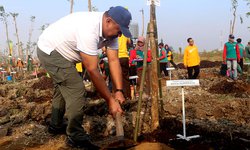 Pemkot Akan Bangun Jembatan Penghubung Taman PUPR dan Taman Harmoni Keputih pemkot-akan-bangun-jembatan-penghubung-taman-pupr-dan-taman-harmoni-keputih