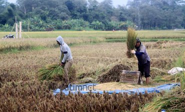 Pertumbuhan Ekonomi Jatim Capai 5,51 Persen pertumbuhan-ekonomi-jatim-capai-551-persen