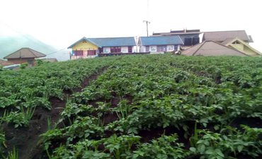 Aktivitas Bromo Tak Pengaruhi Pertanian Warga aktivitas-bromo-tak-pengaruhi-pertanian-warga
