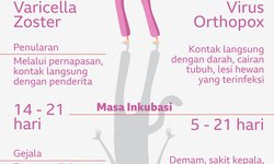 Ini Beda Cacar Air dan Monyet ini-beda-cacar-air-dan-monyet
