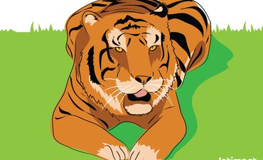 BBKSDA Riau Kirim Penembak Jitu Buru Harimau Sumatera bbksda-riau-kirim-penembak-jitu-buru-harimau-sumatera