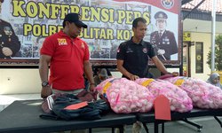 Setelah Cabai, Maling Spesialis Bumbu Dapur Tertangkap Mencuri Bawang setelah-cabai-maling-spesialis-bumbu-dapur-tertangkap-mencuri-bawang