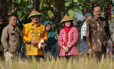 Wali Kota Madiun Himbau Petani Setempat Tanam Cabai wali-kota-madiun-himbau-petani-setempat-tanam-cabai