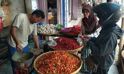 Harga Cabai Rawit di Blitar Tembus Rp 52 Ribu harga-cabai-rawit-di-blitar-tembus-rp-52-ribu