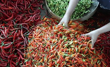 Harga Cabai di Ponorogo Melonjak 100 Persen harga-cabai-di-ponorogo-melonjak-100-persen