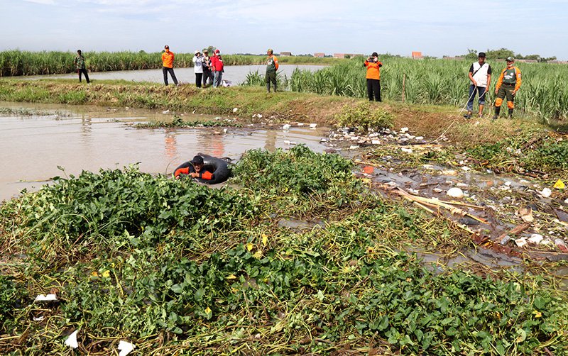 JATIMNET.COM SUNGAI AVUR