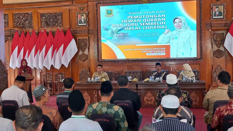 bimtek sembelih hewan kurban