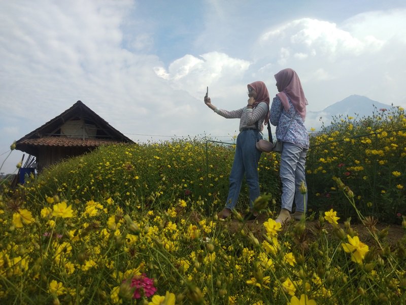 Brenjonk Wisata Edukasi Pangan Organik Dan Spot Selfie Tanaman Refugia