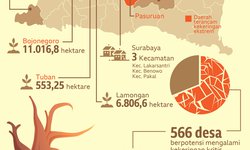 Dampak Kemarau di Jatim dampak-kemarau-di-jatim