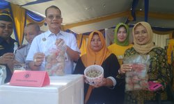 Ekspor Porang Alis Iles-iles Asal Jatim Diminati Cina ekspor-porang-alis-iles-iles-asal-jatim-diminati-cina