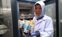 Ramadan, PMI Ponorogo Buka Stan Donor di Masjid ramadan-pmi-ponorogo-buka-stan-donor-di-masjid