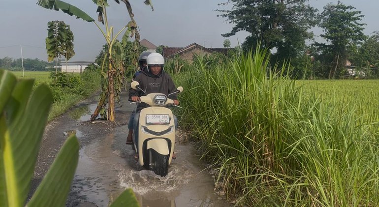 tanam pohon pisang di jalan rusak desa brudu sumobito jombang