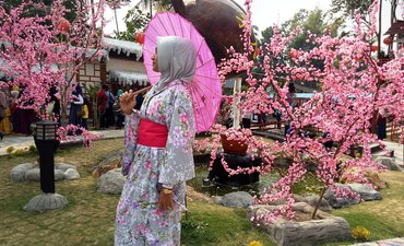 Melihat Bunga Sakura yang Mekar di Blitar melihat-bunga-sakura-yang-mekar-di-blitar