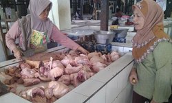 Harga Anjlok, Penjual Daging Ayam Madiun Bonusi Pembeli harga-anjlok-penjual-daging-ayam-madiun-bonusi-pembeli