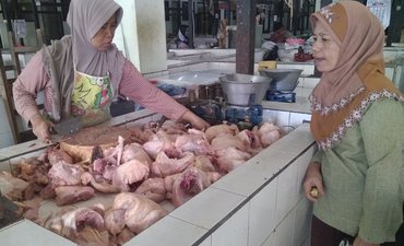 Harga Anjlok, Penjual Daging Ayam Madiun Bonusi Pembeli harga-anjlok-penjual-daging-ayam-madiun-bonusi-pembeli