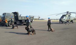 2.400 Personel TNI AU Ikuti Puncak Latihan Perang 2-400-personel-tni-au-ikuti-puncak-latihan-perang