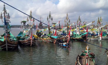 Menelusuri Hilangnya Ikan Lemuru di Selat Bali menelusuri-hilangnya-ikan-lemuru-di-selat-bali