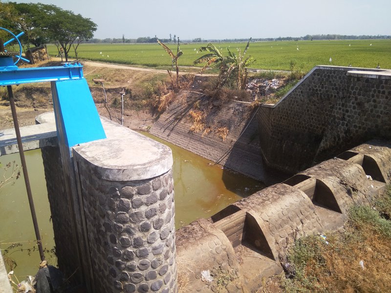 DIAM MENGHANYUTKAN. Genangan air di sungai wilayah Desa Ngadirejo, Kecamatan Wonoasri, Kabupaten Madiun dengan kedalaman antara 80 cm-2 meter, lokasi ditemukannya mayat Sukidi. FOTO: ND. Nugroho