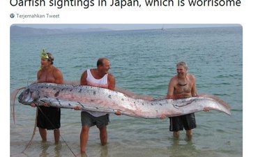 Oarfish Muncul ke Permukaan Dipercaya Pembawa Pesan Bencana oarfish-muncul-ke-permukaan-dipercaya-pembawa-pesan-bencana