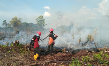 Hingga April 2019, Kebakaran Lahan di Riau 2.912 Hektare hingga-april-2019-kebakaran-lahan-di-riau-2-912-hektare