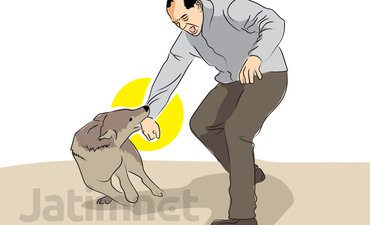 Sudah Empat Nyawa Melayang Akibat Rabies sudah-empat-nyawa-melayang-akibat-rabies