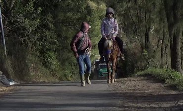 Aktivitas Wisata Gunung Bromo Mulai Normal Pasca Nyepi aktivitas-wisata-gunung-bromo-mulai-normal-pasca-nyepi