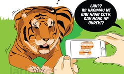 Lacak Harimau Pemangsa, Kamera Trap Macet lacak-harimau-pemangsa-kamera-trap-macet