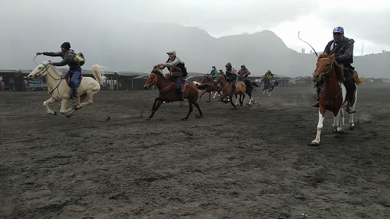 Ojek Kuda Gunung Bromo Ikuti Lomba Pacuan