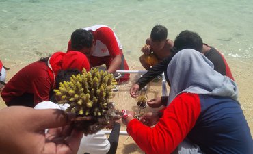 Upaya Nelayan Banyuwangi Menanam Terumbu Karang upaya-nelayan-banyuwangi-menanam-terumbu-karang