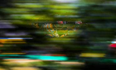 Rebut Kemenangan Ketujuh, Marquez Raja Sachsenring rebut-kemenangan-ketujuh-marquez-raja-sachsenring