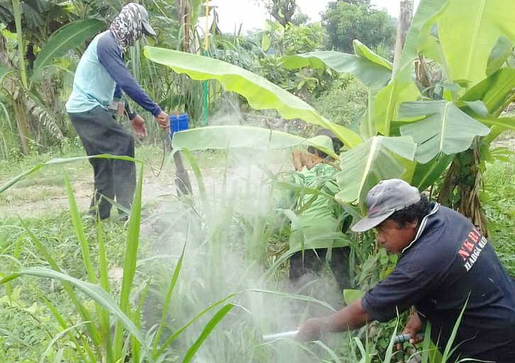 Dianggap Bahaya Pln Akan Putus Aliran Listrik Untuk Jebakan Tikus Top10 perangkap tikus bodoh terbaik dengan pipa plastik /10 ide perangkap tikus terbaik dari labirin. jatimnet com surabaya