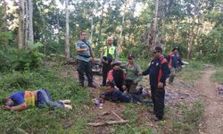 Polisi Amankan Pelaku Pembalakan saat Naikkan Kayu ke Motor polisi-amankan-pelaku-pembalakan-saat-naikkan-kayu-ke-motor