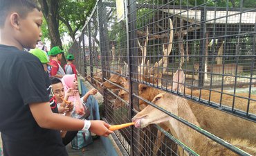 2018, Lima Satwa Ini Lahir di Kebun Binatang Surabaya 2018-lima-satwa-ini-lahir-di-kebun-binatang-surabaya