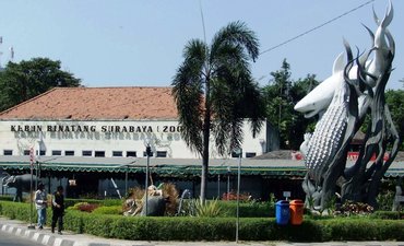 Libur Lebaran, Kebun Binatang Surabaya Target 180 Ribu Pengunjung libur-lebaran-kebun-binatang-surabaya-target-180-ribu-pengunjung