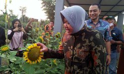 Pemkot Surabaya Ubah TPA Keputih Jadi Taman Harmoni pemkot-surabaya-ubah-tpa-keputih-jadi-taman-harmoni