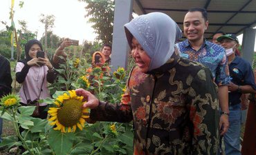 Pemkot Surabaya Ubah TPA Keputih Jadi Taman Harmoni pemkot-surabaya-ubah-tpa-keputih-jadi-taman-harmoni