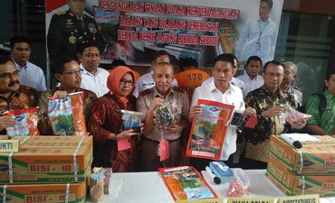 Polda Jatim Tangkap Tiga Pelaku Penjual Benih Jagung Bersubsidi polda-jatim-tangkap-tiga-pelaku-penjual-benih-jagung-bersubsidi