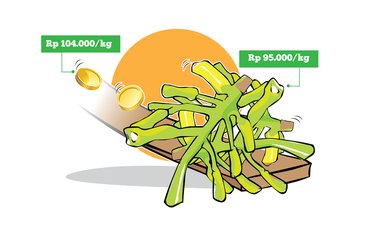 Harga Cengkih di Sulut Terbanting 8,6 Persen harga-cengkih-di-sulut-terbanting-86-persen