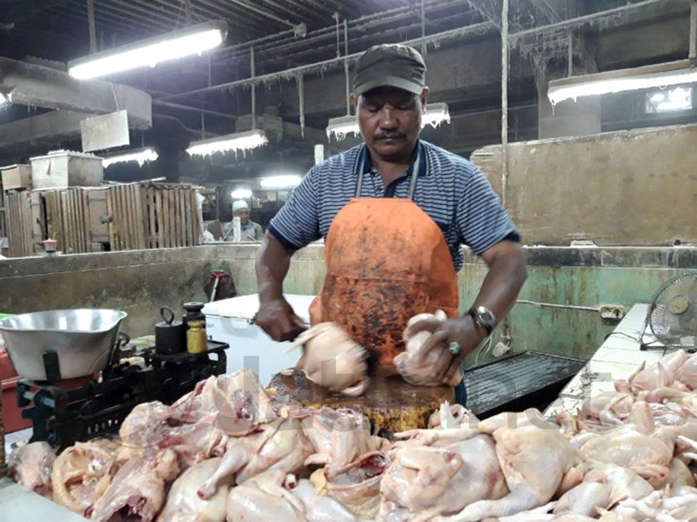 Peternak Ayam Butuh Peran Ombudsman