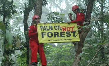 KLHK Lepas 5,4 Juta Hektare Hutan untuk Sawit p-klhk-lepas-54-juta-hektare-hutan-untuk-sawit-p