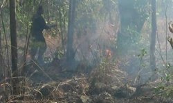 Delapan Hektare Bukit Bentar Ludes Dilalap Api delapan-hektare-bukit-bentar-ludes-dilalap-api