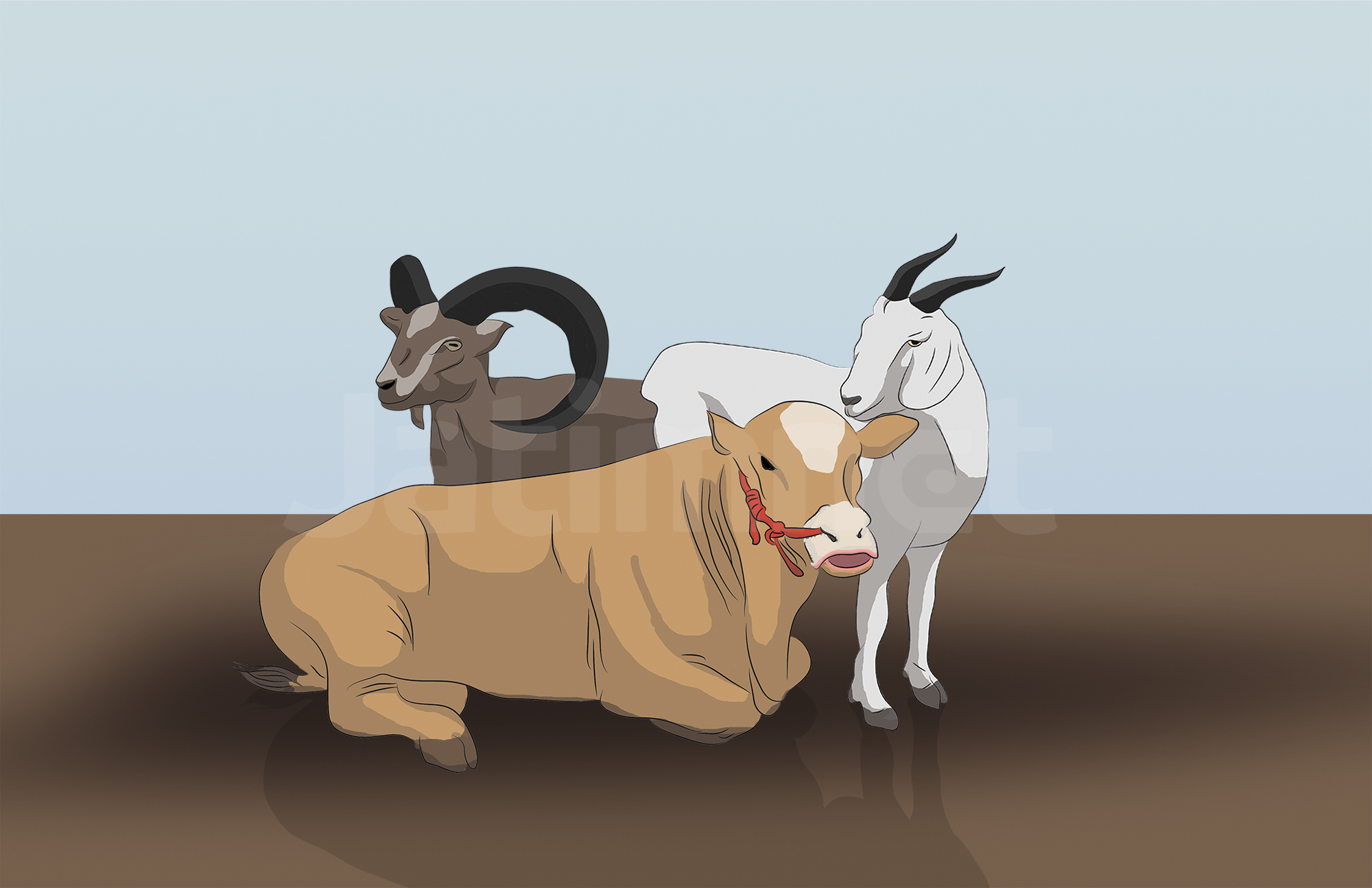 Tips Sehat Mengolah Daging Sapi