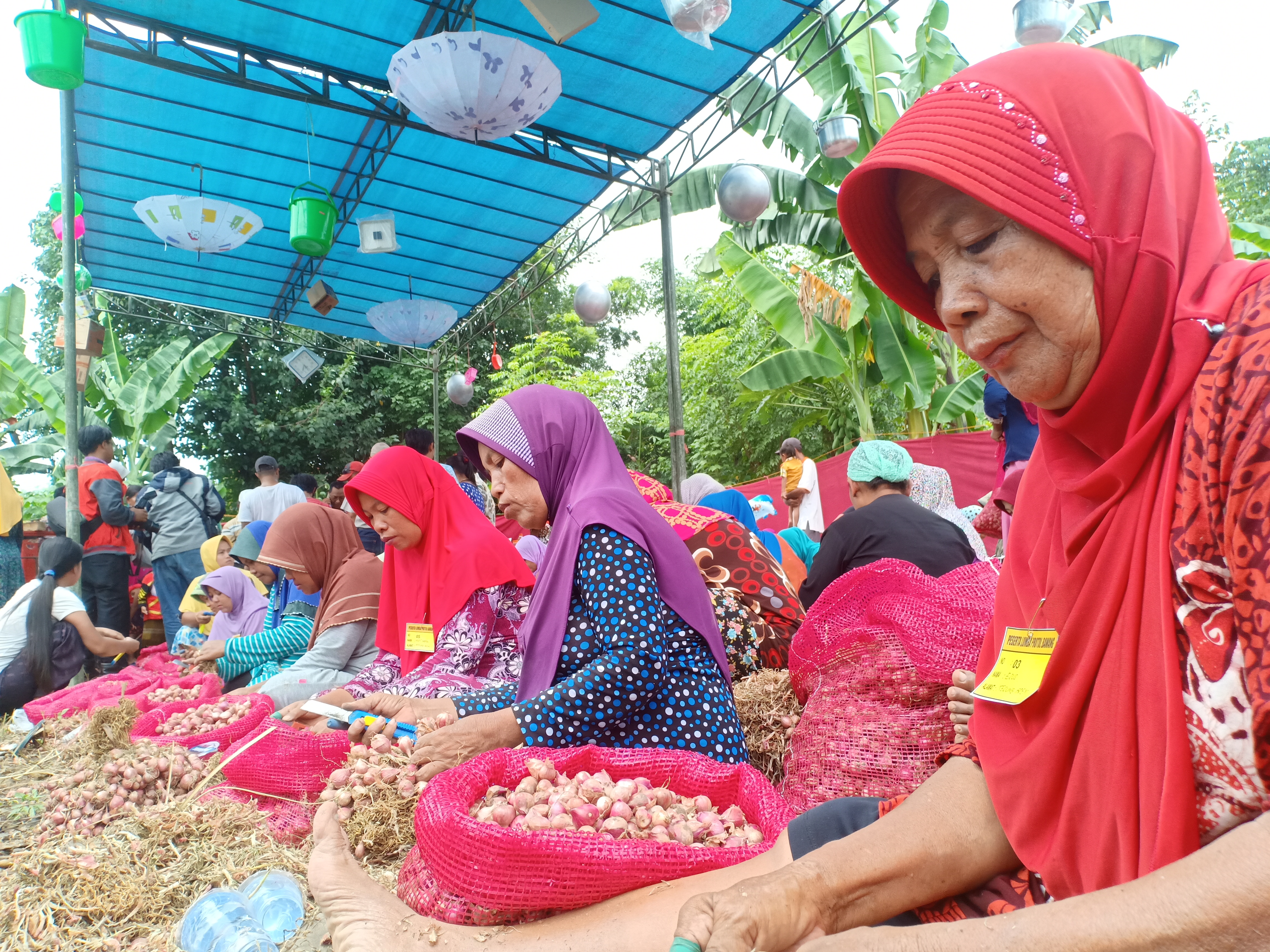Wujud Sykur, Istri Petani Ikuti Lomba <em>Mrotol Bawang</em>
