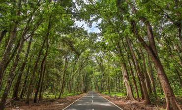 Wisatawan TN Alas Purwo Banyuwangi Melonjak 53 Persen wisatawan-tn-alas-purwo-banyuwangi-melonjak-53-persen