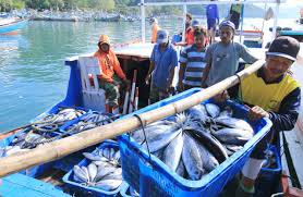 Pasokan Minim, Harga Ikan Laut di Malang Melonjak pasokan-minim-harga-ikan-laut-di-malang-melonjak